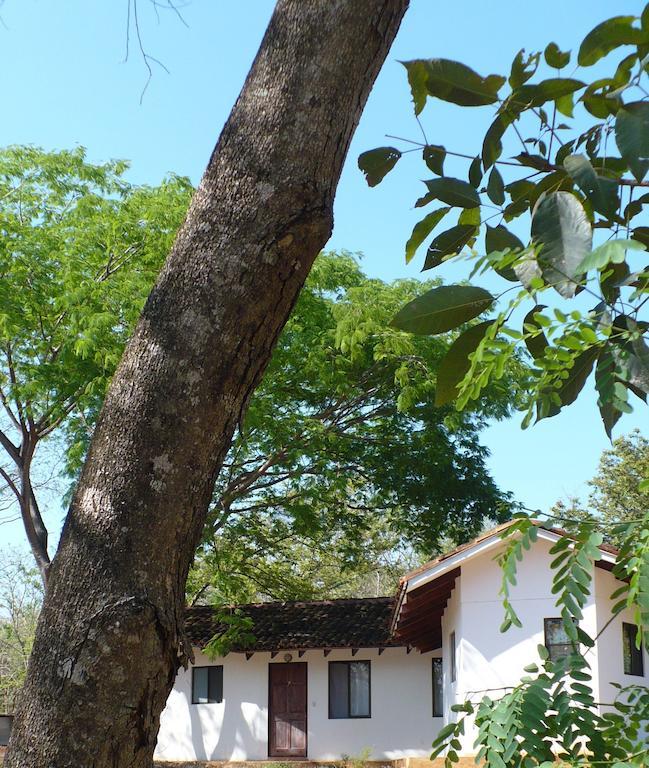 Finca Buena Fuente Residence Hotel ニコヤ エクステリア 写真
